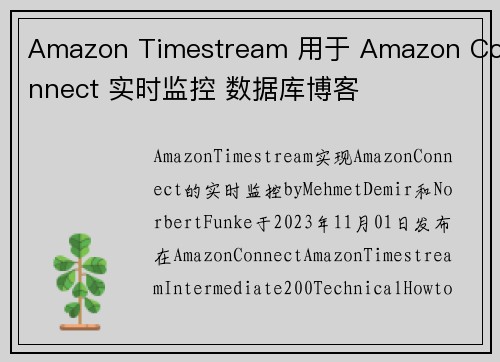 Amazon Timestream 用于 Amazon Connect 实时监控 数据库博客